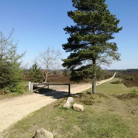 In Jutland *