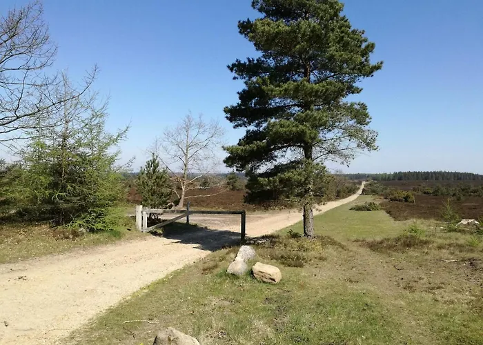 In Jutland *
